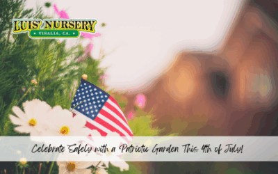Celebrate Safely with a Patriotic Garden This 4th of July!