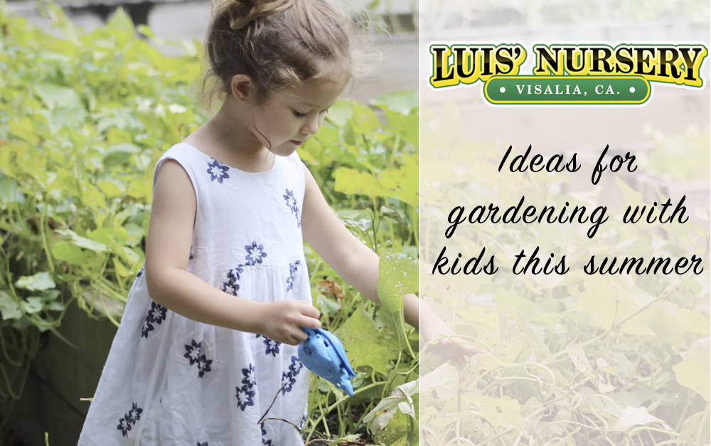 ideas for gardening with kids | Luis' Nursery Visalia