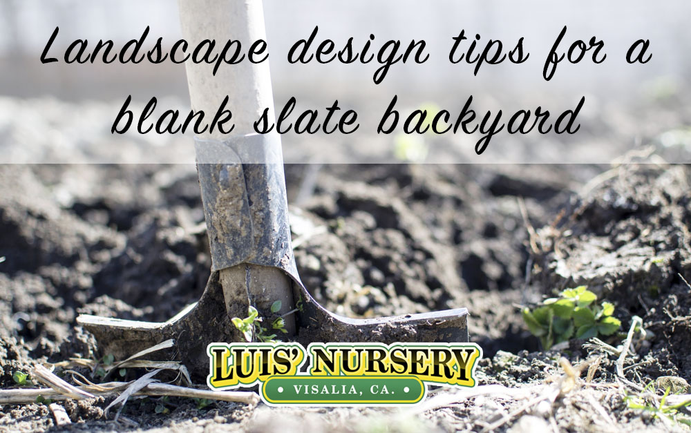 landscape design tips from Luis' Nursery in Visalia