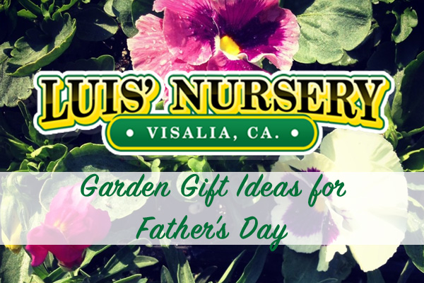 garden gift ideas for Father's Day | Luis' Nursery Visalia