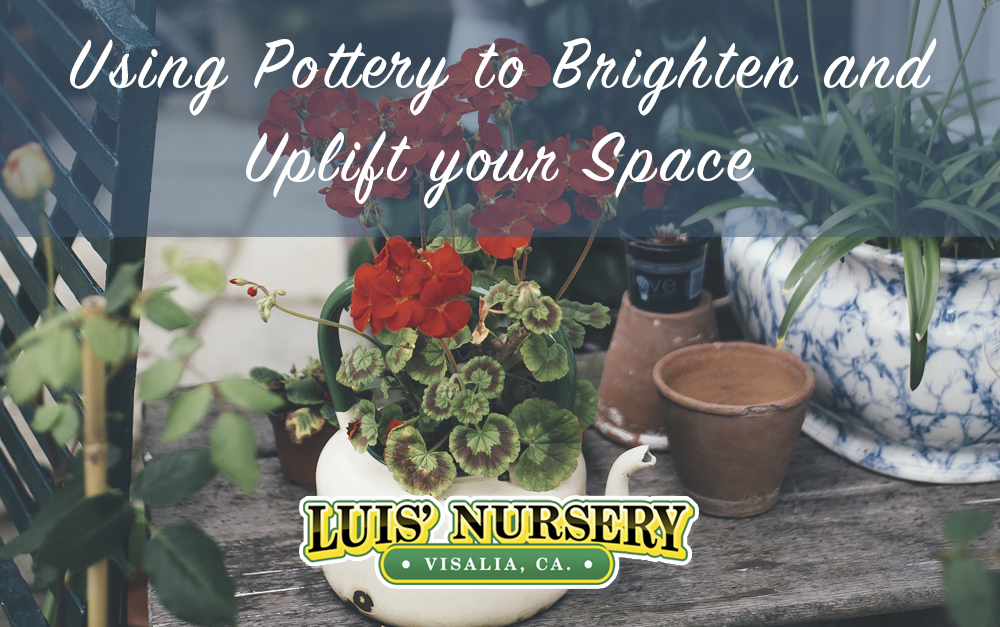 Using Pottery to Brighten and Uplift your Space | Luis' Nursery Visalia