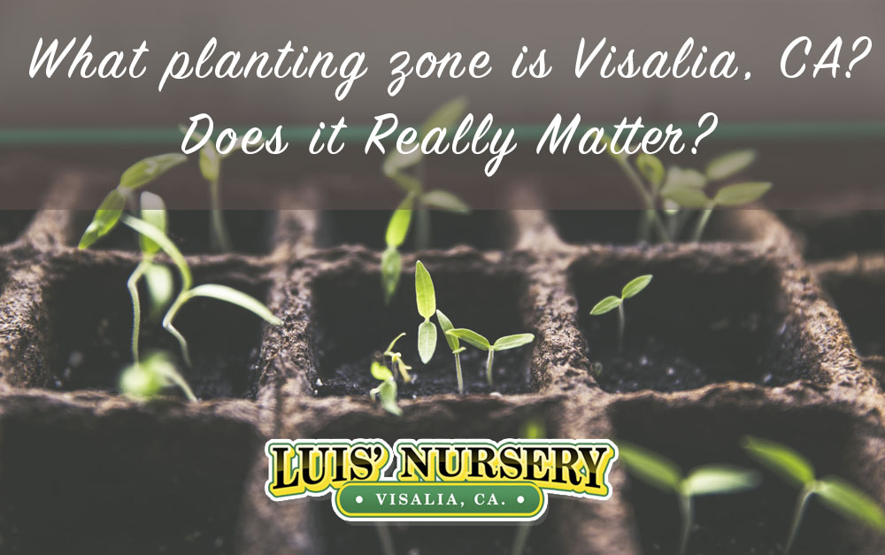 What growing zone is Visalia?