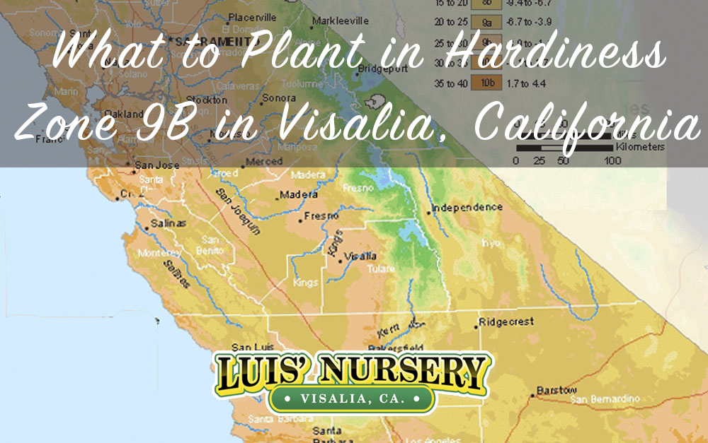 know-your-growing-zone-luis-nursery-visalia-visalia-nurseries