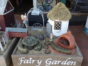Luis' Nursery Garden Center | Fairy Garden