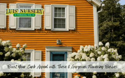 Boost Your Curb Appeal with These 8 Gorgeous Flowering Bushes