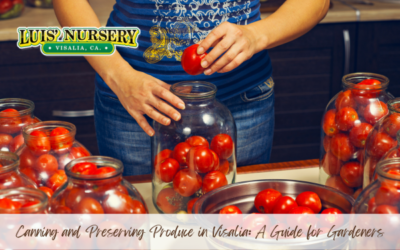 Canning and Preserving Produce in Visalia: A Guide for Gardeners