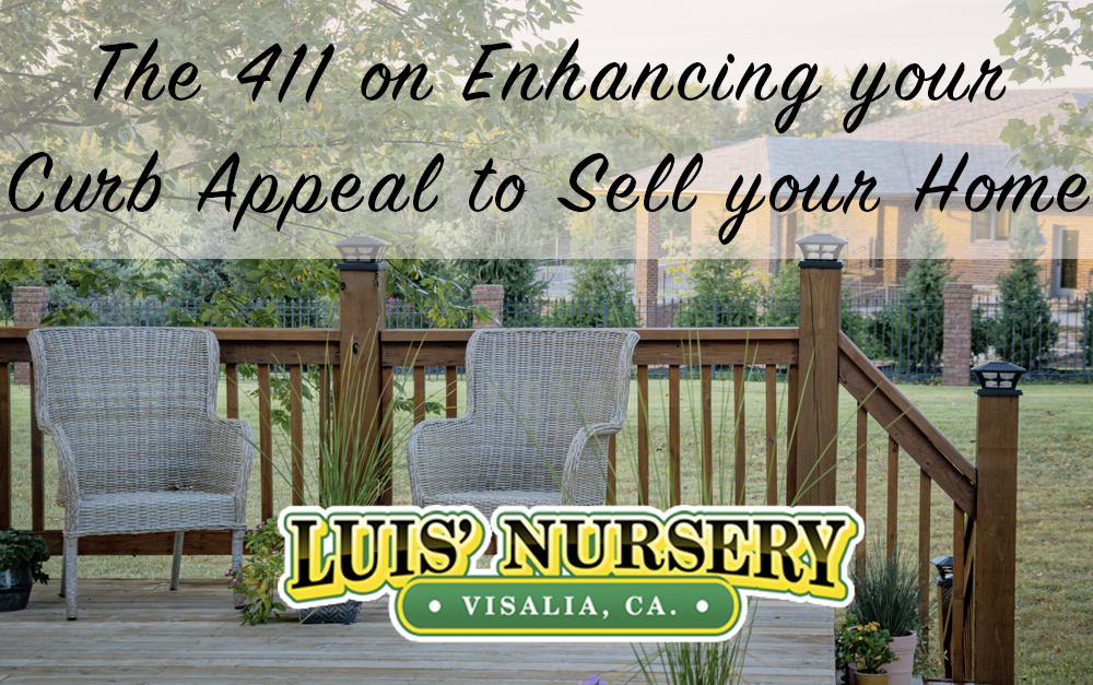 Curb Appeal Helps Sell your Home | Luis' Nursery Visalia