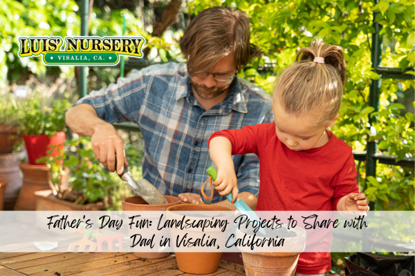 Father’s Day Fun: Landscaping Projects to Share with Dad in Visalia, California