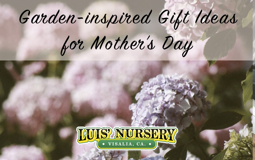 garden-inspired gift ideas for Mother's Day | Luis' Nursery
