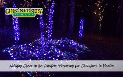 Holiday Cheer in the Garden: Preparing for Christmas in Visalia