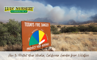 How to Protect Your Visalia, California Garden from Wildfire