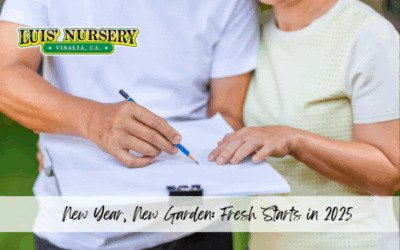New Year, New Garden: Fresh Starts in 2025