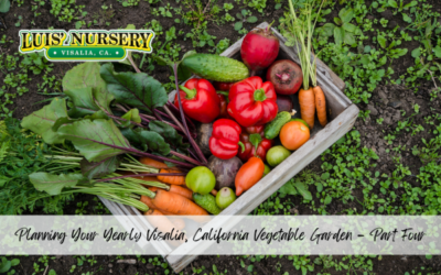 Planning Your Yearly Visalia, California Vegetable Garden – Part Four