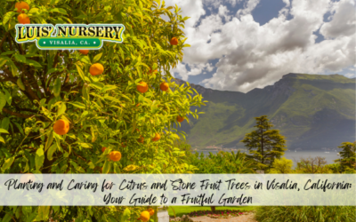 Planting and Caring for Citrus and Stone Fruit Trees in Visalia, California: Your Guide to a Fruitful Garden