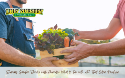 Sharing Garden Spoils with Friends: What to Do with All That Extra Produce