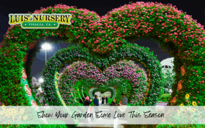 Show Your Garden Some Love This Season